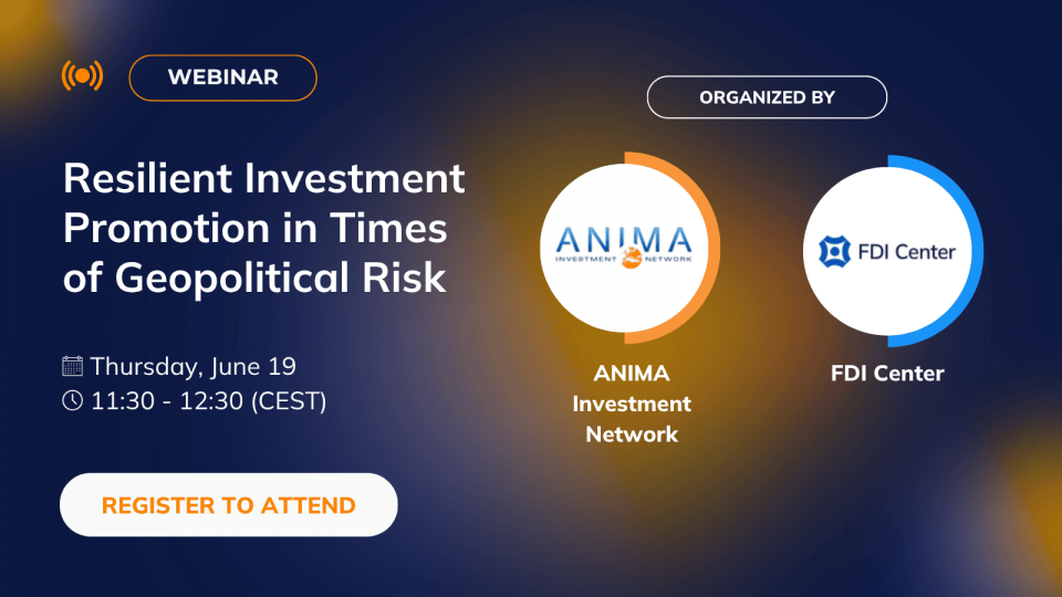 FDI Center x ANIMA webinar (2)