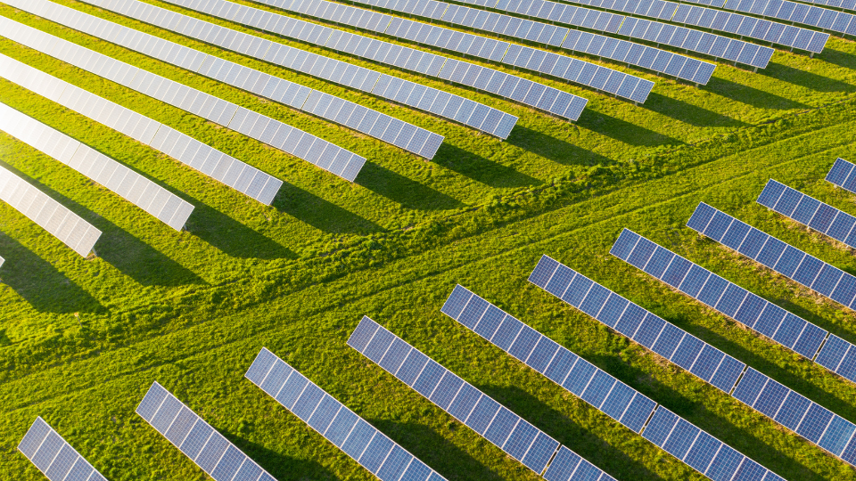 Image of solar panels in a field. Cover image for FDI Center's insights piece on renewable energy solar PV supply chain